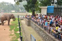 Đã có quyết định xây bãi đỗ xe ngầm trong công viên Thủ Lệ