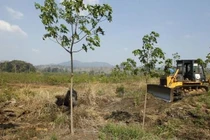 Campuchia thu hồi 742 ha đất đã giao cho Hoàng Anh Gia Lai