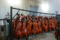 Hãi hùng cảnh nhúng nước đổi màu cho vịt quay vàng óng