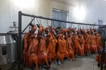 Hãi hùng cảnh nhúng nước đổi màu cho vịt quay vàng óng