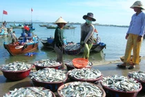 Lật tẩy trò “chơi bẩn” của thương lái Trung Quốc