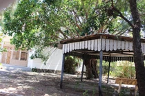 Phú Yên thu hồi khách sạn 800 tỷ của đại gia Thanh Thản