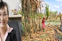 Ái nữ đại gia Đặng Văn Thành lại chơi lớn