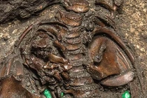 Bí mật kinh hoàng sau hài cốt của những đứa trẻ ở Mexico