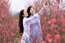 Thời tiết cả nước dịp Tết Nguyên đán Bính Thân sẽ thế nào?