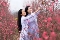 Thời tiết cả nước dịp Tết Nguyên đán Bính Thân sẽ thế nào?