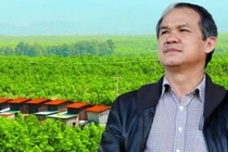 Vì sao công ty bầu Đức bị phạt 60 triệu khi vừa báo lãi?