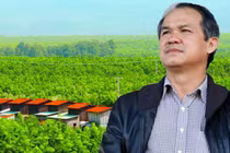 Vì sao công ty bầu Đức bị phạt 60 triệu khi vừa báo lãi?