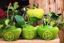 Bưởi hình thỏi vàng có chữ Tài - Lộc giá 1 triệu đồng mỗi cặp