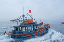 Yêu cầu Trung Quốc thả vô điều kiện tàu cá Việt Nam