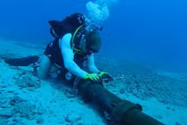 Cáp quang AAG sẽ khôi phục trước trận chung kết World Cup 2018