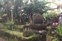 Hoang lạnh mộ cổ 200 năm của công thần triều Nguyễn