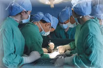 Quá dự sinh 2 tuần vẫn không đến BV, mẹ suýt hại chết con