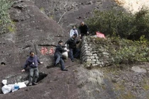 Loại trà đắt nhất thế giới, mỗi kg giá bằng... tòa biệt thự