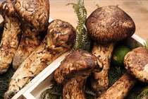 Sửng sốt giá những món ăn siêu đắt đỏ chỉ dành cho đại gia