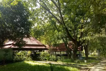 Công viên Thủ Dầu Một bị “xẻ thịt” để kinh doanh nhà hàng, tiệc cưới