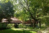 Công viên Thủ Dầu Một bị “xẻ thịt” để kinh doanh nhà hàng, tiệc cưới