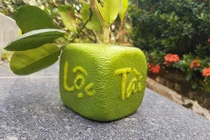 Quả bưởi vuông kỳ lạ lần đầu tiên xuất hiện ở Việt Nam