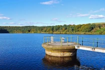 10 công việc lương cao dành cho người ngại giao tiếp