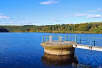 10 công việc lương cao dành cho người ngại giao tiếp