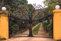 Tận thấy biệt thự 'xẻ núi, lấp hồ' rừng phòng hộ Sóc Sơn