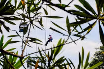 "Tarzan" - nghề độc lạ ít ai ngờ ở rừng Bà Nà