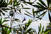 "Tarzan" - nghề độc lạ ít ai ngờ ở rừng Bà Nà