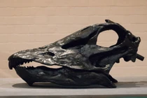 Những thứ xa xỉ chỉ giới siêu giàu mới đổ tiền mua