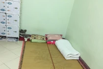 Vợ chồng trẻ nằm sàn xi măng, cố canh Black Friday