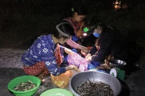 Soi đèn đi "chợ ma" bán đủ sản vật An Giang mùa nước nổi