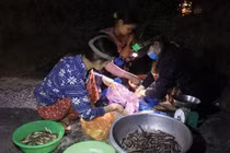 Soi đèn đi "chợ ma" bán đủ sản vật An Giang mùa nước nổi