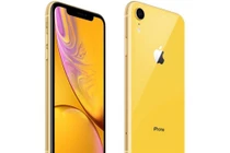 Đúng như dự báo, iPhone XR có hiện tượng “cháy hàng”