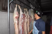 Giá thịt tăng đột biến sau vụ hơn 4.000 con heo nghi bị tiêm thuốc