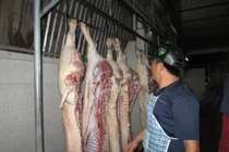 Giá thịt tăng đột biến sau vụ hơn 4.000 con heo nghi bị tiêm thuốc