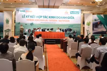 Đoán lý do Bầu Đức nổi hứng đi nuôi bò