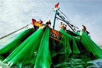 Cách “đòi” vứt rác kiểu tận diệt của nhà máy nhiệt điện