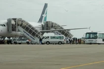 Hàng loạt chuyến bay tại Cam Ranh bị trễ vì...3 con chó