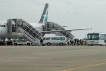 Hàng loạt chuyến bay tại Cam Ranh bị trễ vì...3 con chó