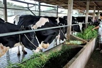 “Vườn ươm” tỷ phú