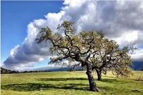 9 ứng dụng chụp ảnh không thể bỏ qua cho người dùng smartphone