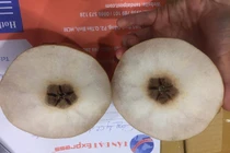 Klever Fruits bị tố bán giỏ quả thối cho khách hàng