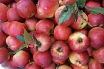 7 loại quả Trung Quốc bán tràn chợ Việt: Đẹp long lanh, rẻ như rau