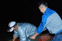 Nửa đêm đi săn "quý ngư" bạc triệu trên "địa chỉ đỏ" sông Hồng