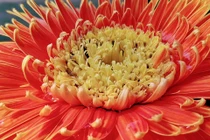 Bộ ảnh đầu tiên chụp từ BPhone 3 do Bkav công bố