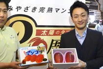 Bỏ ra gần 4.000 USD chỉ để mua 2 quả xoài