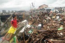 Người Việt từ vùng thảm họa Tacloban gọi điện cầu cứu