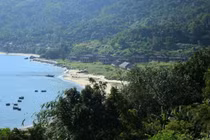 Công ty 79 của Vũ “nhôm” xẻ nát Sơn Trà ngay trên giấy?