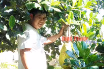 Nghề "lạ" ở Bình Phước: Đi lang thang "ngửi mít thuê" cũng ra tiền