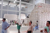 Gạo Campuchia đang “đe dọa” Việt Nam