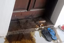 "Khủng bố" đòi nợ tín dụng đen: Ác hiểm "mắm tôm trộn dầu luyn"